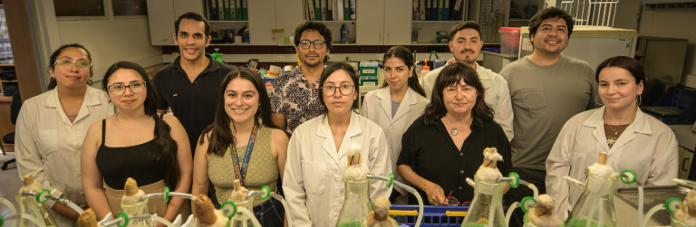Desarrollan innovadora solución biotecnológica para recuperar suelos degradados por el cambio climático