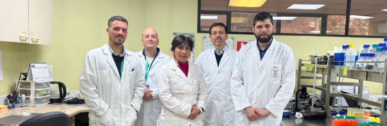 Nuevos avances en proyecto impulsado por CECTA Usach que busca producir pan suplementado con vitamina D