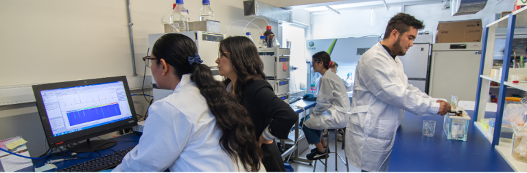 Usach postula proyecto estratégico al Fondo Universitario de Frontera consolidando su compromiso con la ciencia y tecnología