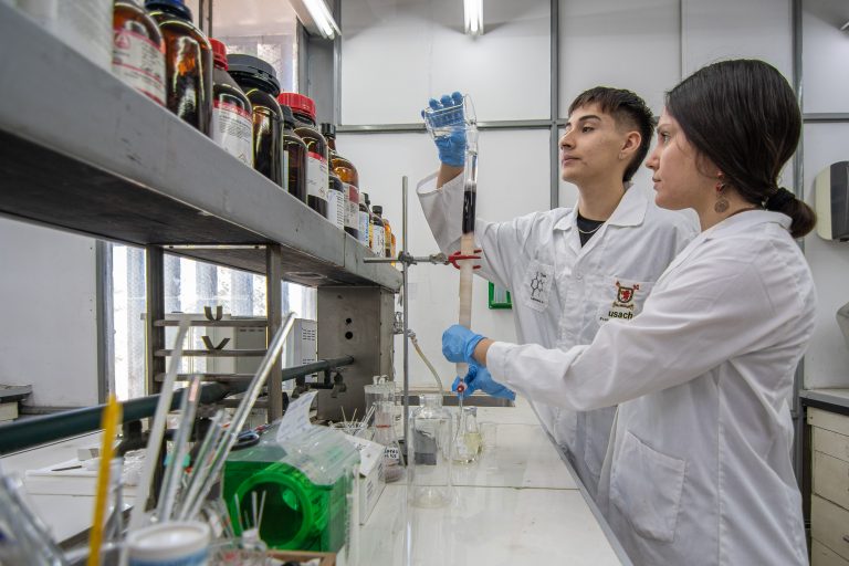 Usach se adjudica financiamiento del programa FIU Frontera para implementar su Plan de I+D+i a 10 años