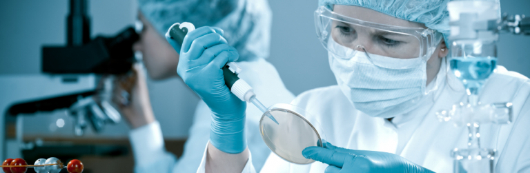 En marzo finalizará ciclo de talleres para fortalecer la postulación al concurso Fondef IDeA IT 2026