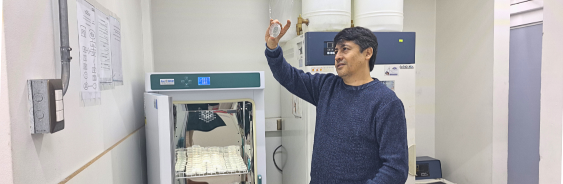Innovación Usach apunta a fortalecer la inocuidad en los procesos productivos del queso azul