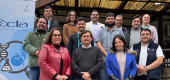 Usach acerca innovación alimentaria a las panaderías para producir pan más nutritivo a escala industrial 